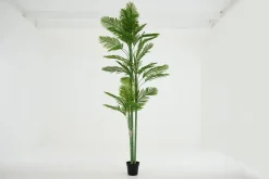 Jeux De Société Et Lifestyle|Décoration<Flamant ARECA PALM, plante Vert