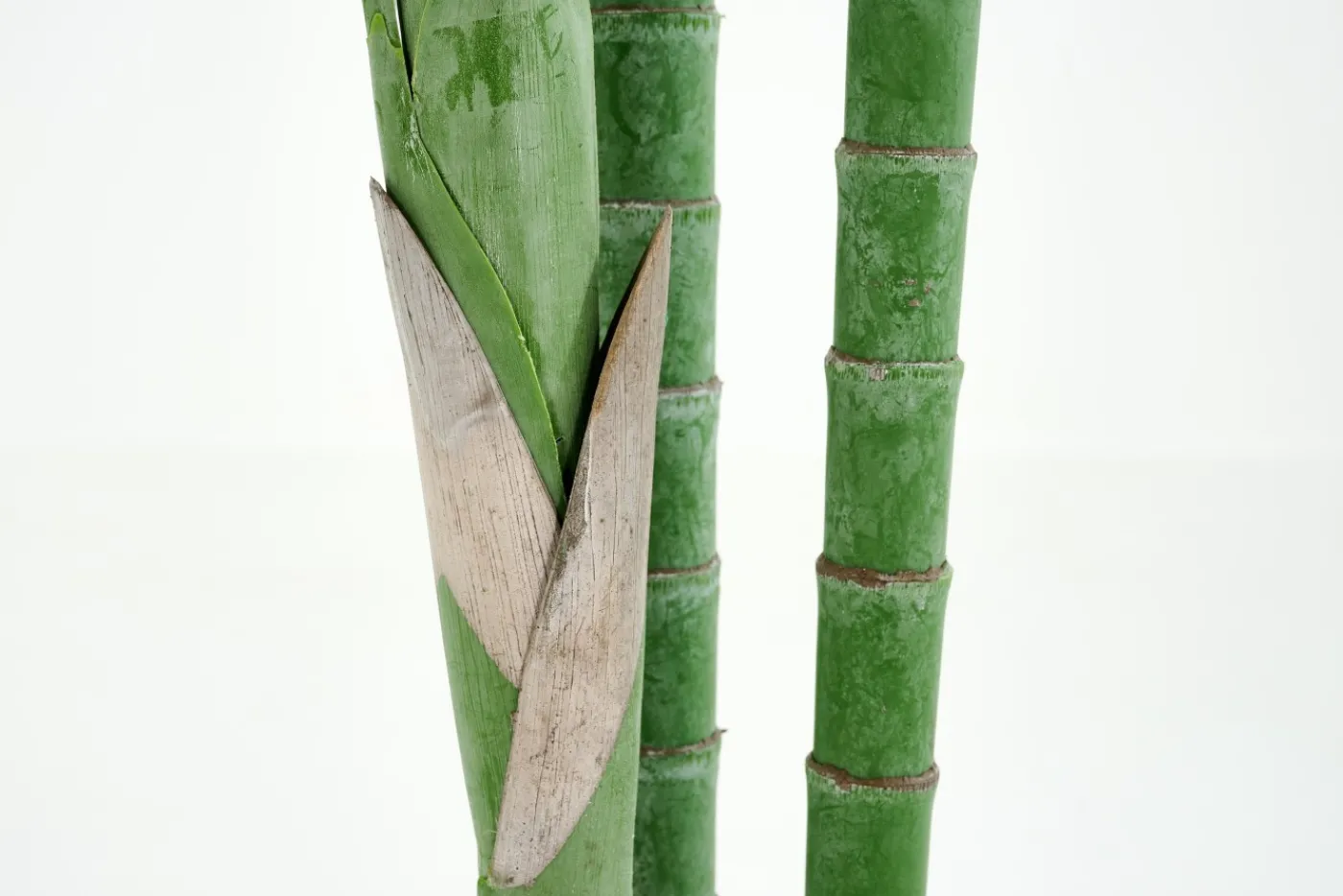 Jeux De Société Et Lifestyle|Décoration<Flamant ARECA PALM, plante Vert