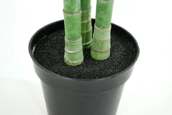 Jeux De Société Et Lifestyle|Décoration<Flamant ARECA PALM, plante Vert
