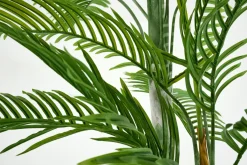Jeux De Société Et Lifestyle|Décoration<Flamant ARECA PALM, plante Vert