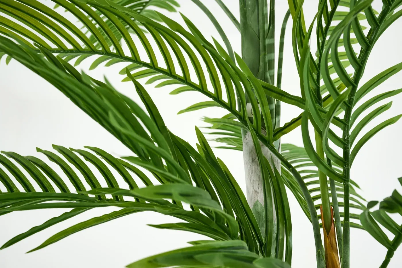 Jeux De Société Et Lifestyle|Décoration<Flamant ARECA PALM, plante Vert