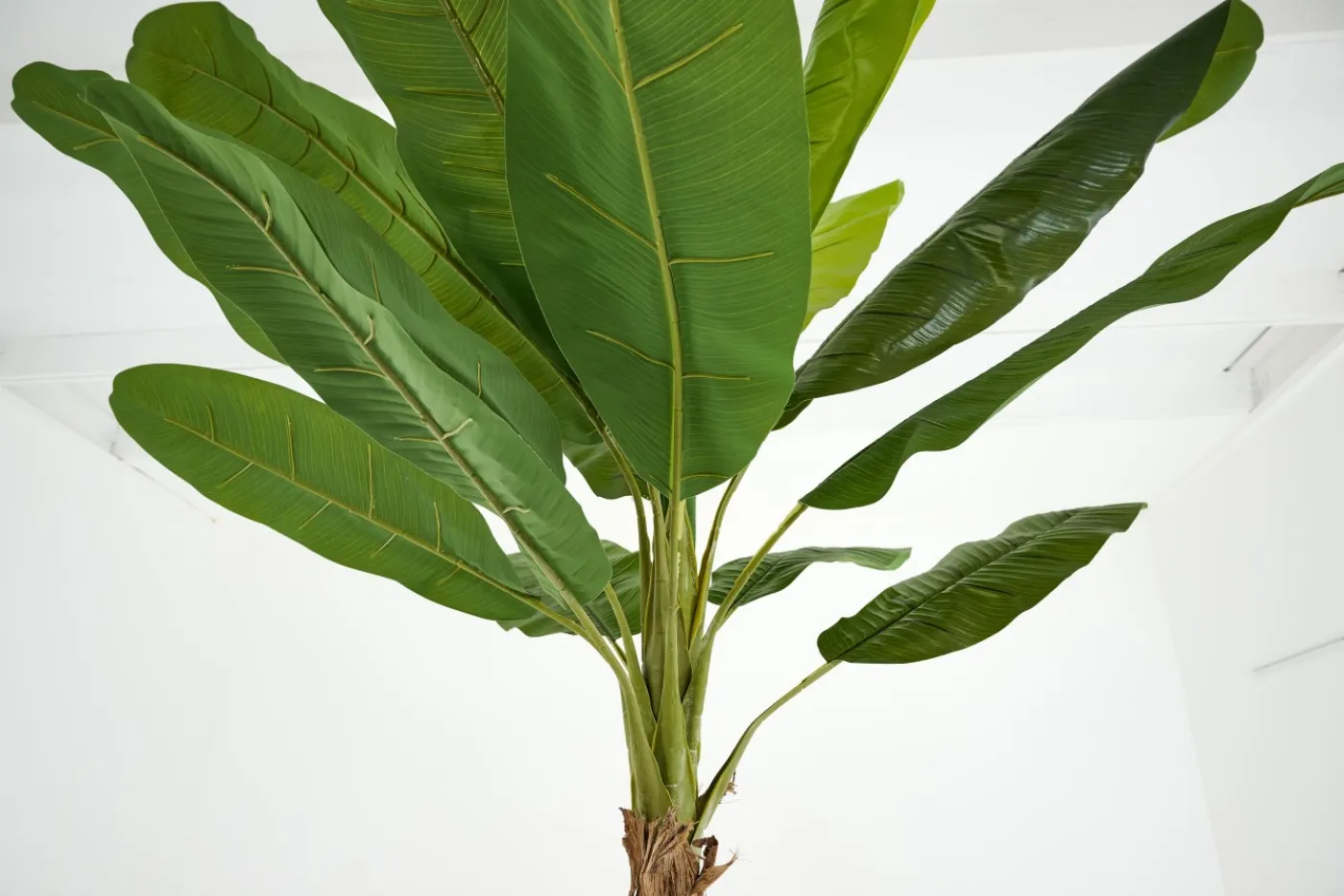 Jeux De Société Et Lifestyle|Décoration<Flamant BANANA TREE, plante Vert