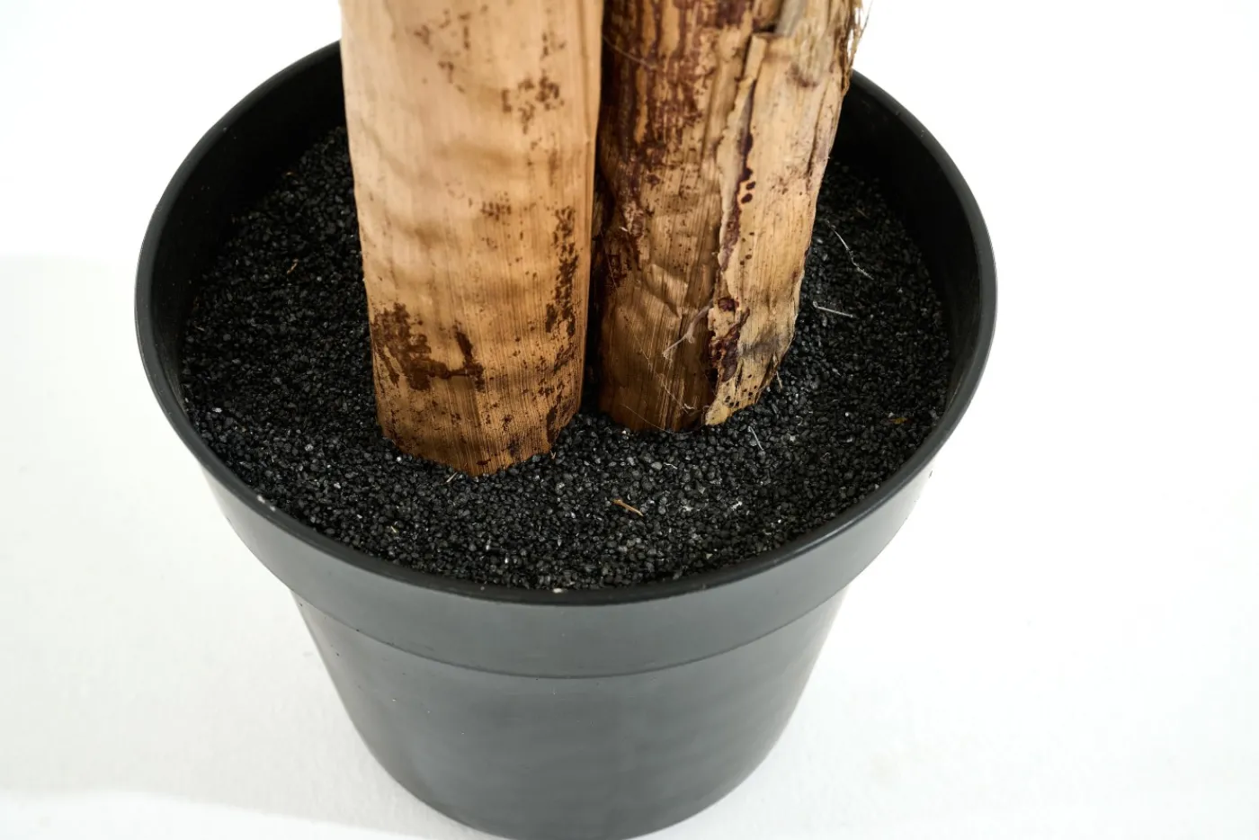 Jeux De Société Et Lifestyle|Décoration<Flamant BANANA TREE, plante Vert