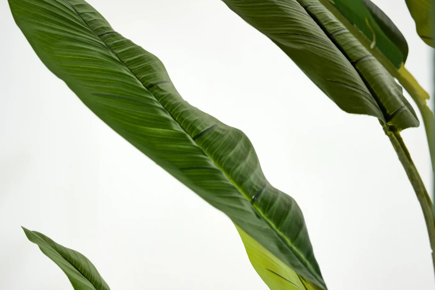 Jeux De Société Et Lifestyle|Décoration<Flamant BANANA TREE, plante Vert