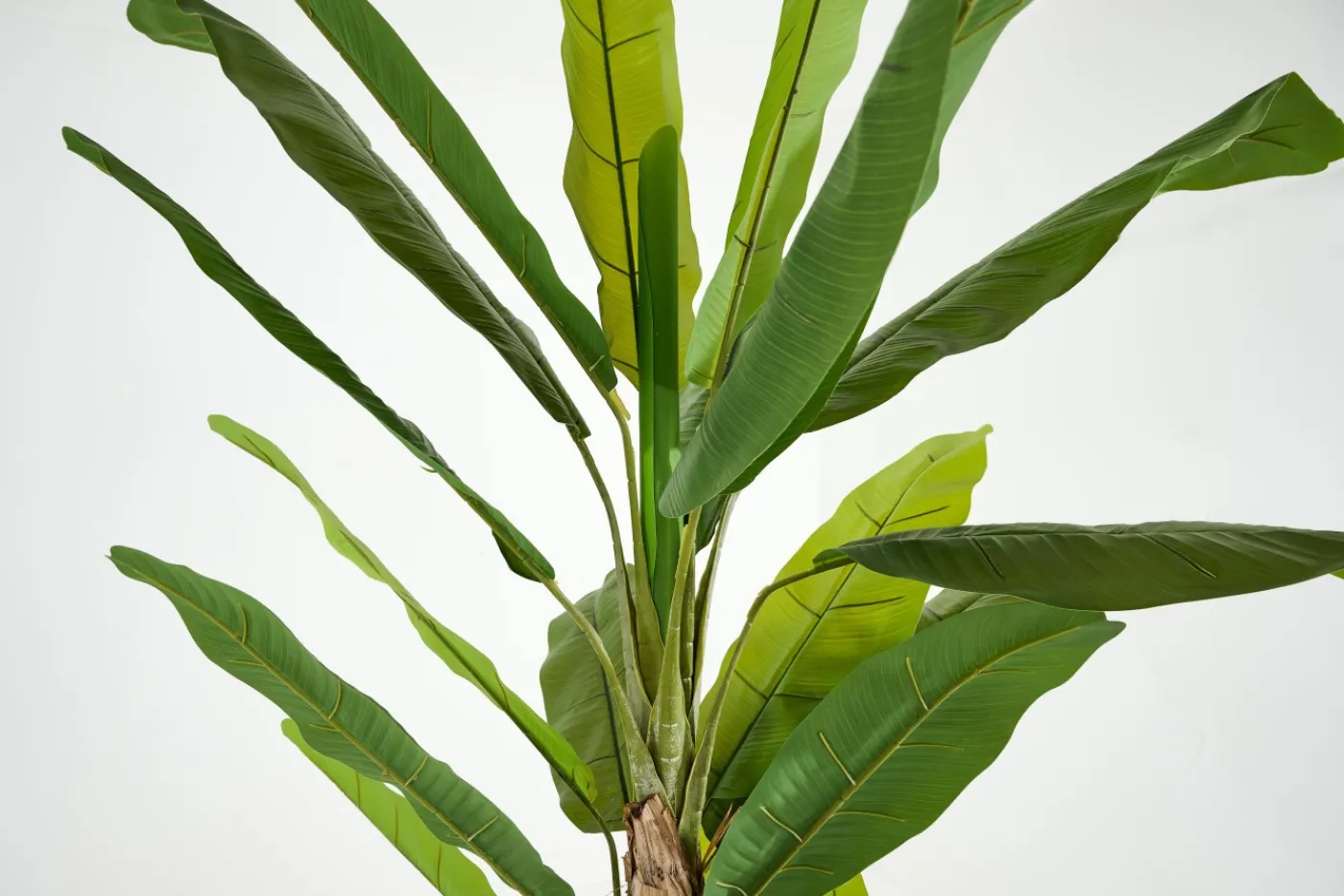 Jeux De Société Et Lifestyle|Décoration<Flamant BANANA TREE, plante Vert