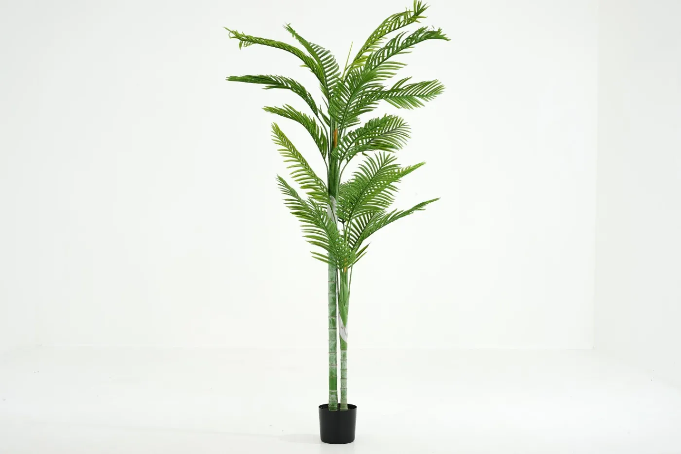 Jeux De Société Et Lifestyle|Décoration<Flamant BETEL PALM, plante Vert