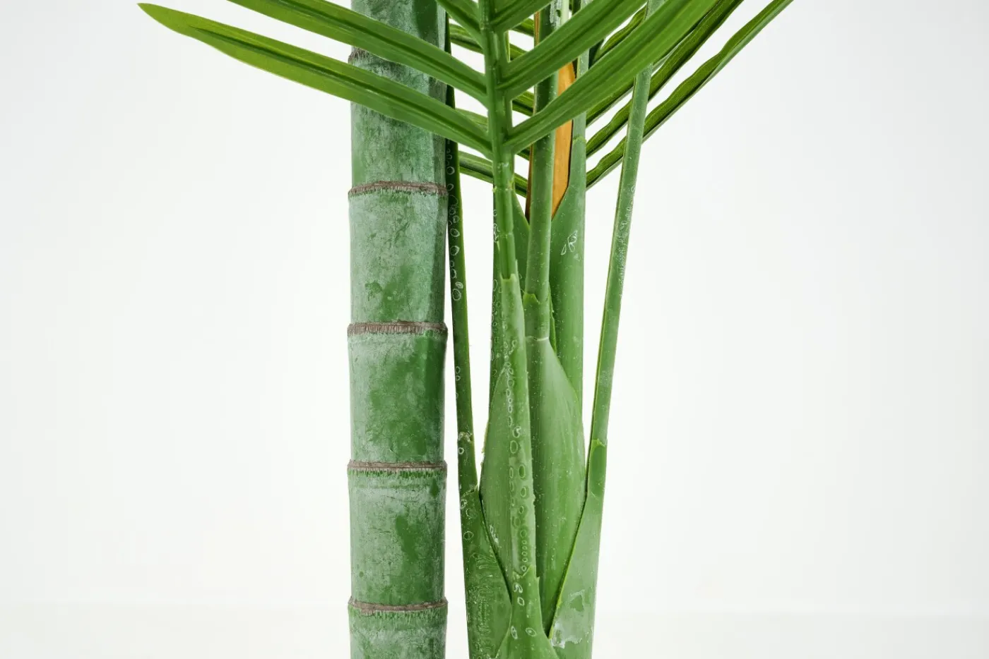 Jeux De Société Et Lifestyle|Décoration<Flamant BETEL PALM, plante Vert