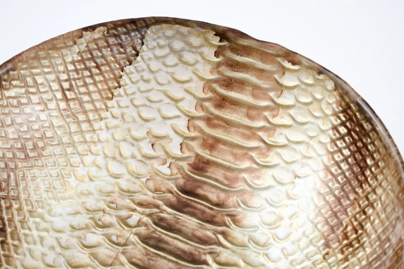 Plats|Plats<Flamant LENNOX, coupe, verre, , S Brun