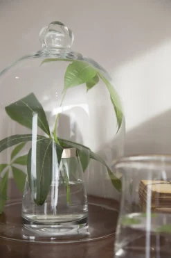Ustensiles De Service Et De Cuisine|Accessoires<Flamant MAXI, cloche, verre Transparent