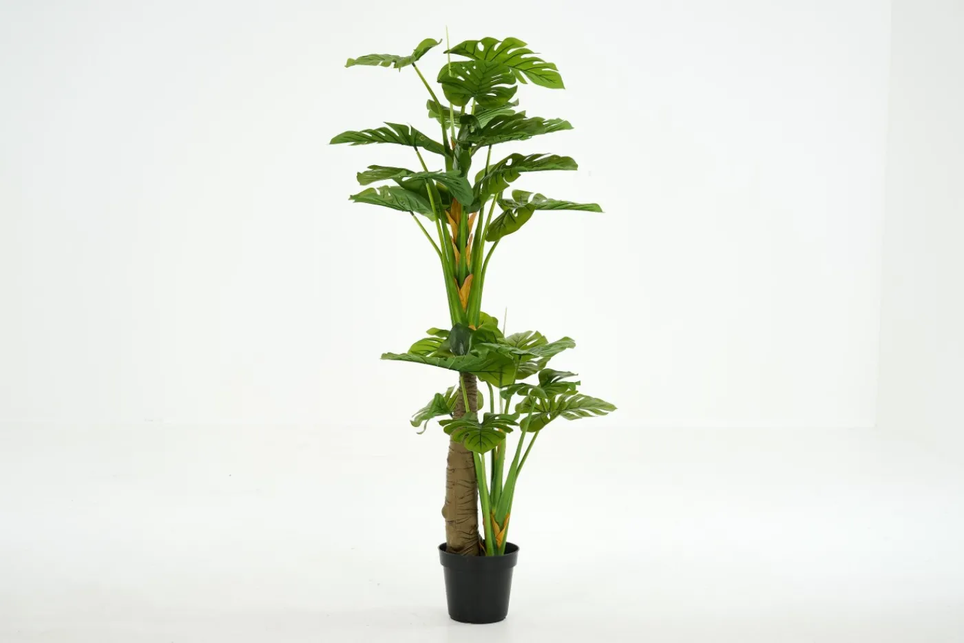 Jeux De Société Et Lifestyle|Décoration<Flamant MONSTERA PLANT, plante Vert