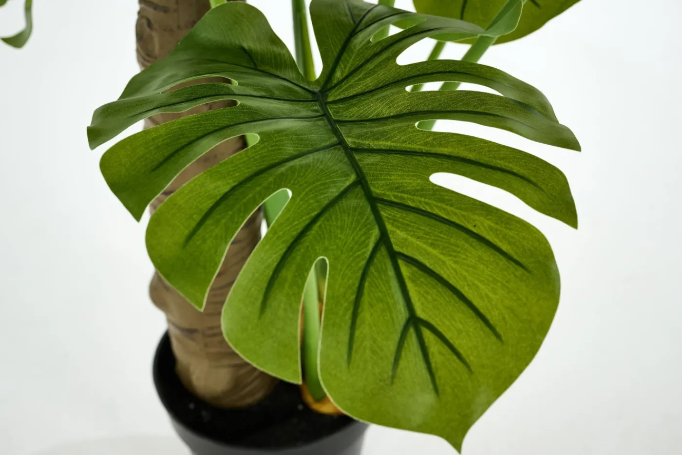 Jeux De Société Et Lifestyle|Décoration<Flamant MONSTERA PLANT, plante Vert