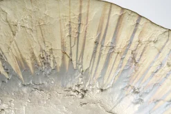 Plats|Plats<Flamant PIATO, coupe, verre, L Brun