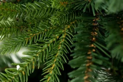 Sapin De Noël|Sapins De Noël<Flamant PINUS, sapin de Noël, 245cm Vert