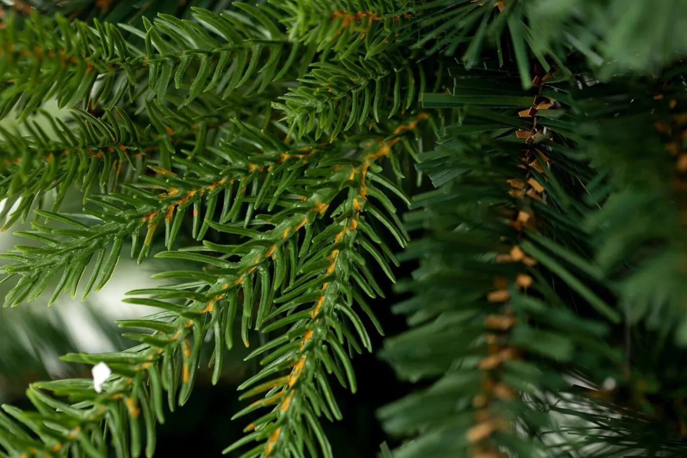 Sapin De Noël|Sapins De Noël<Flamant PINUS, sapin de Noël, 245cm Vert