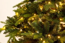 Sapin De Noël|Sapins De Noël<Flamant PINUS, sapin de Noël, 245cm, avec 610 leds Vert